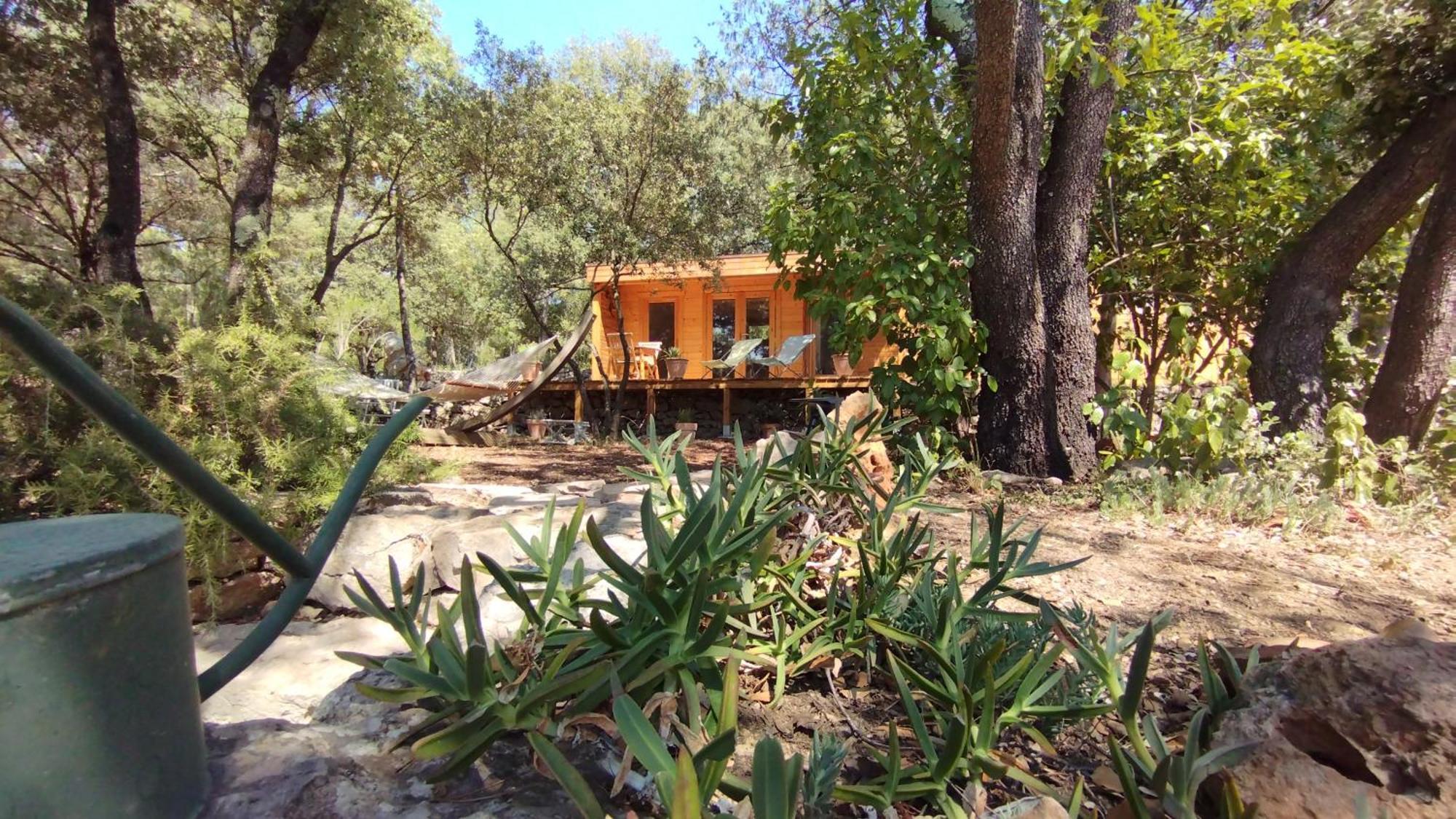 Entrecasteaux La Bergerie Des Colles B&B 외부 사진