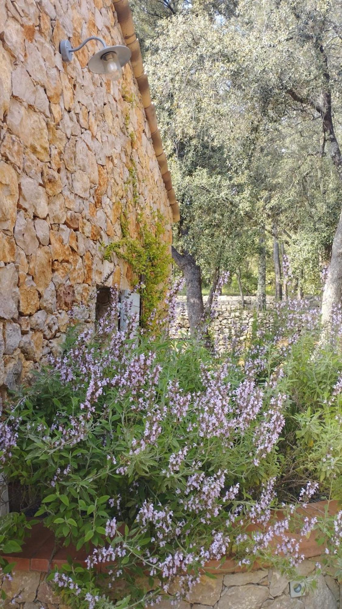 Entrecasteaux La Bergerie Des Colles B&B 외부 사진