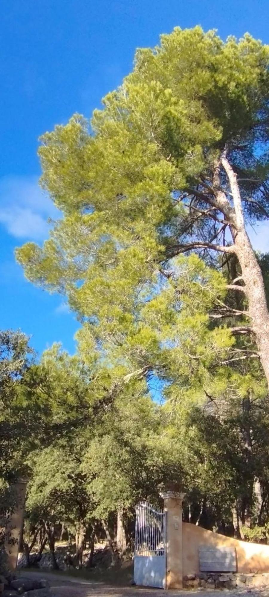 Entrecasteaux La Bergerie Des Colles B&B 외부 사진